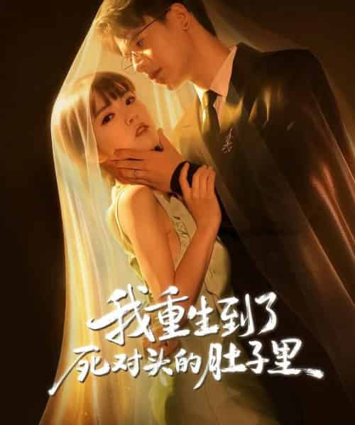 我重生到了死对头的肚子里（55集全）王浩博＆李雪丹-紫橙网创项目网