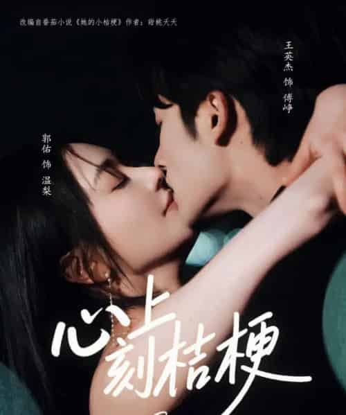 心上刻桔梗（90集）王英杰＆郭佑-紫橙网创项目网
