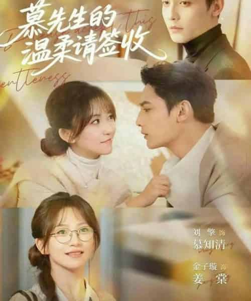 慕先生的温柔请签收（90集全）金子璇＆刘擎-紫橙网创项目网