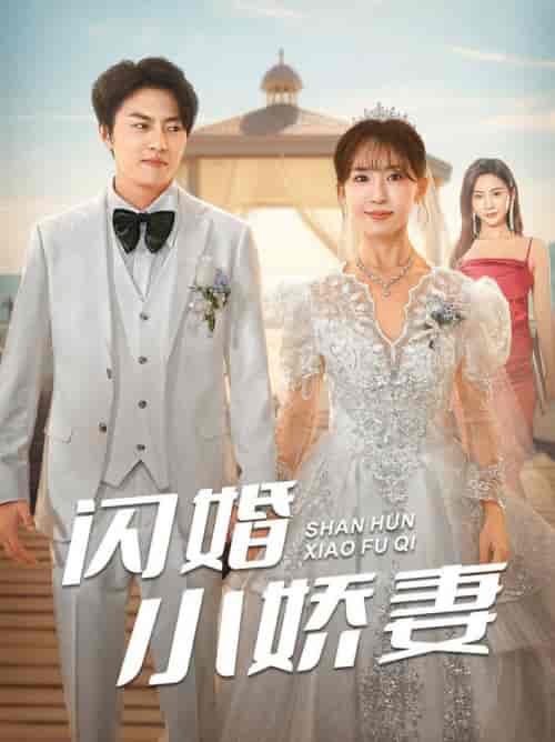 闪婚小娇妻 闪婚小娇妻