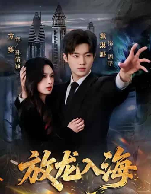 放龙入海（62集全）戴漠野＆方梨-紫橙网创项目网