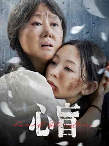 心盲（100集） - 紫橙阁短剧