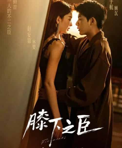 膝下之臣（56集全）赵安第＆吴宇航 - 紫橙阁短剧