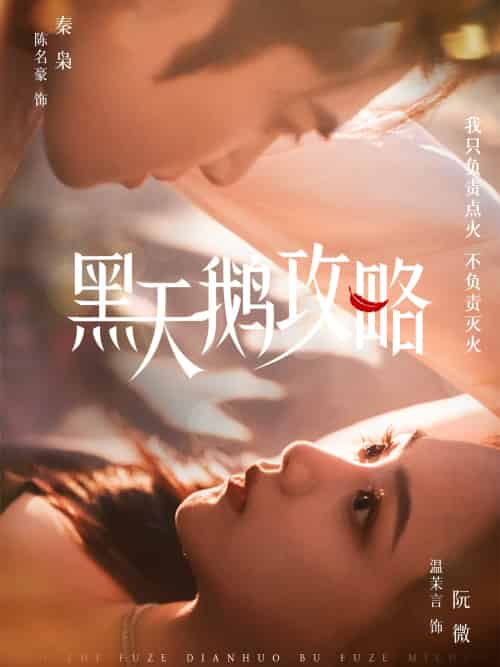 黑天鹅攻略 黑天鹅攻略