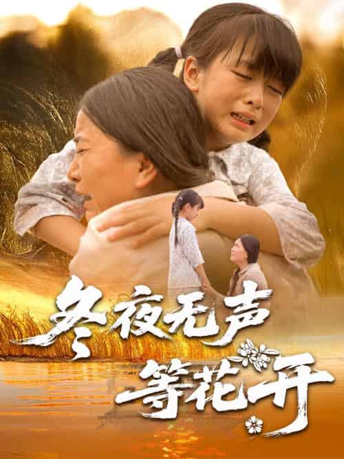 冬夜无声等花开 冬夜无声等花开