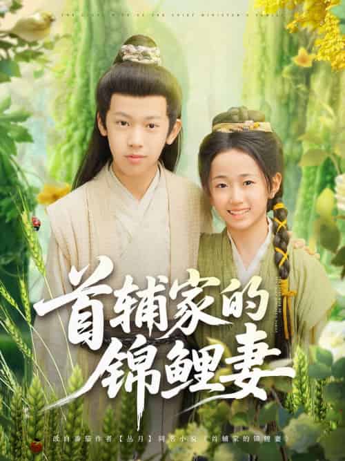 首辅家的锦鲤妻（82集）刘星辰＆杨景天 - 紫橙阁短剧