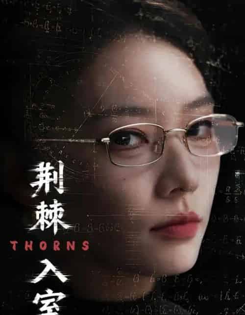 荆棘入室(71集全)韩佳芯&计佳羽-紫橙网创项目网