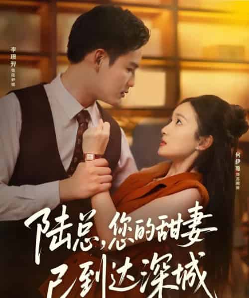 陆总您的甜妻已到达深城（62集）李璟羿＆何依蔓 - 紫橙阁短剧