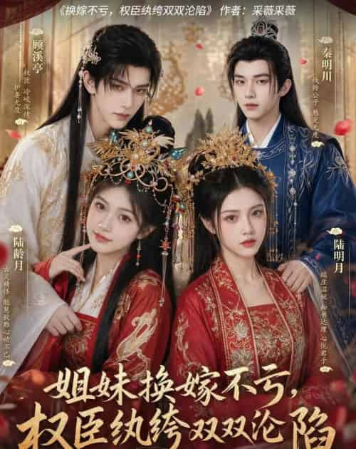 姐妹换嫁不亏,权臣纨绔双双沦陷(85集全)AI-紫橙网创项目网