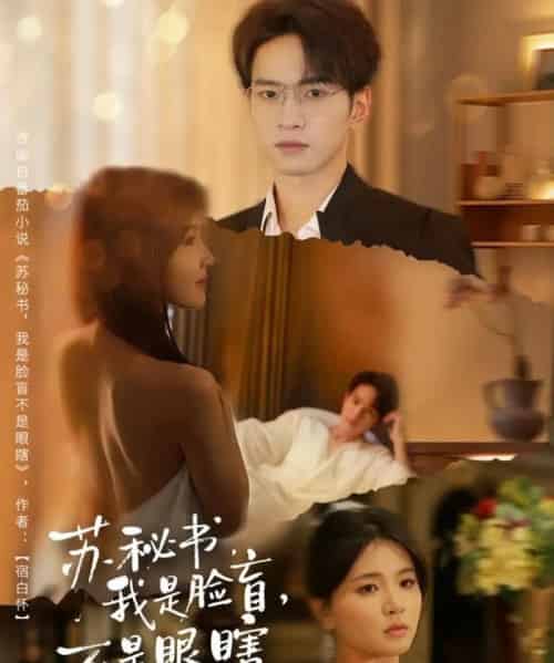 苏秘书，我是脸盲，不是眼瞎（80集全）朱礼仪＆张许焓-紫橙网创项目网