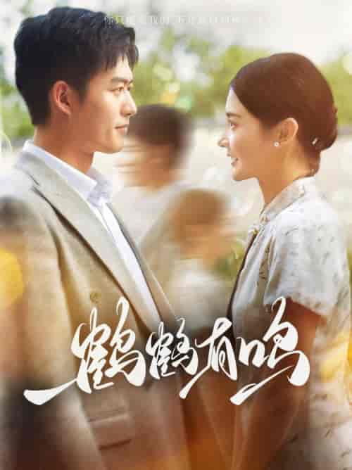鹤鹤有鸣（87集全）舒童＆觅七 - 紫橙阁短剧