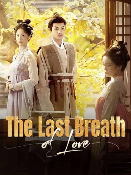 The Last Breath of Love（45集全）Tony＆Gray＆＆Elena＆Shaw - 紫橙海外短剧