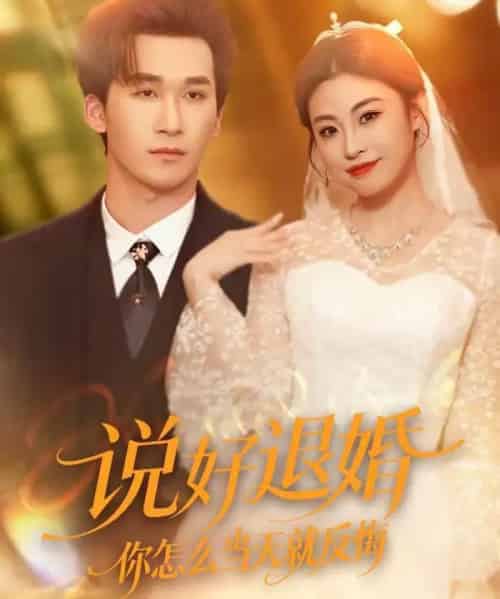 说好退婚你怎么当天就反悔（72集全）潘亚楠＆薛薛-紫橙网创项目网