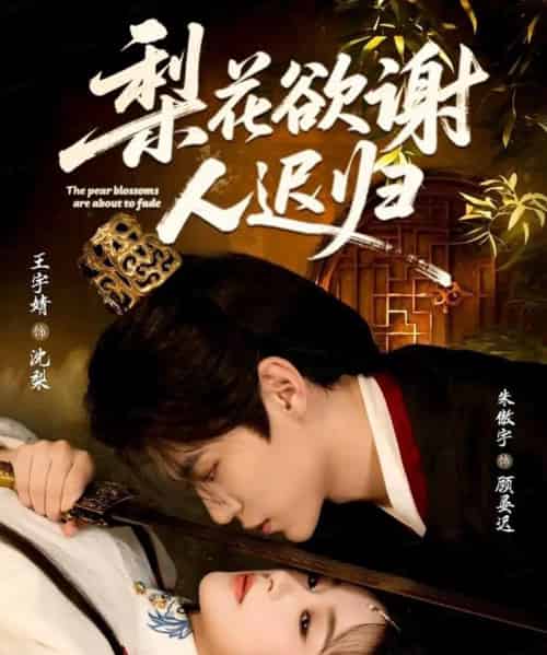梨花欲谢人迟归（60集全）朱傲宇＆王宇婧-紫橙网创项目网