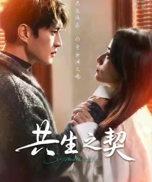 共生之契(67集全)李明轩&谢甜甜-紫橙网创项目网