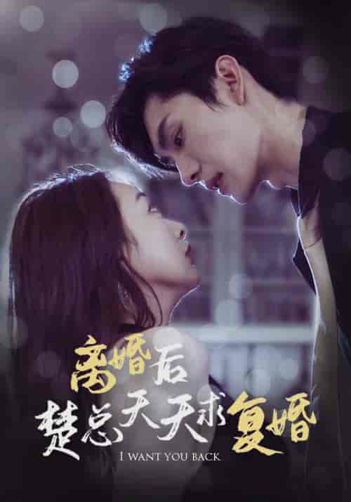 离婚后楚总天天求复婚（87集） - 紫橙阁短剧