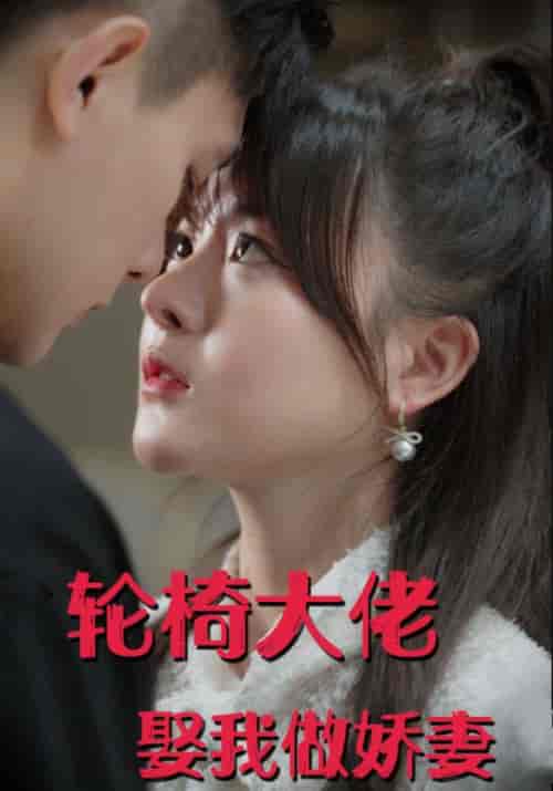 轮椅大佬娶我做娇妻（100集全）夜亦年＆顾小乐 - 紫橙阁短剧