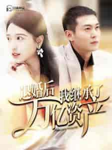 退婚后我继承了万亿家产 退婚后我继承了万亿家产