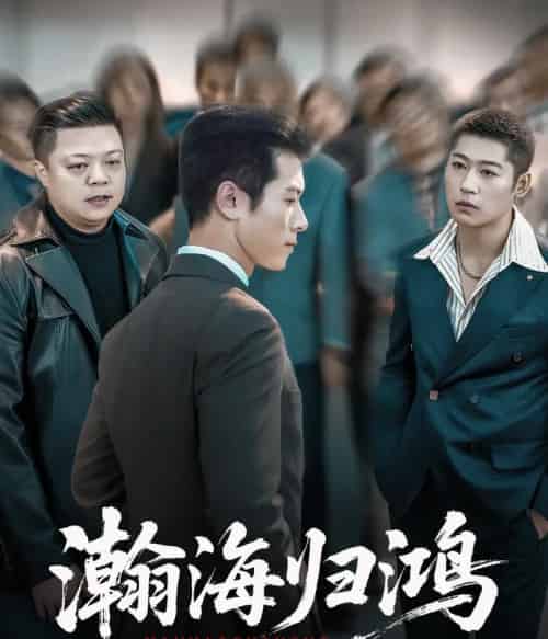 瀚海归鸿（74集全）林思彤＆赖艺-紫橙网创项目网