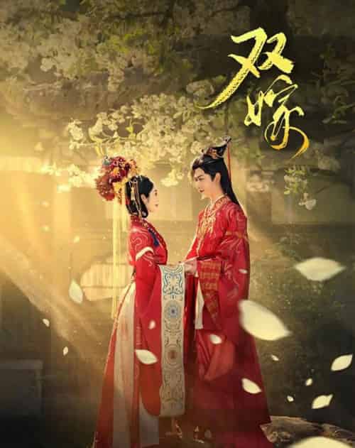双嫁(60集全)戴琪轩&张正越-紫橙网创项目网