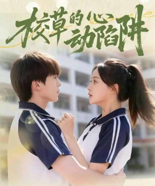 校草的心动陷阱（60集全）许丹＆夏侯懿涵-紫橙网创项目网