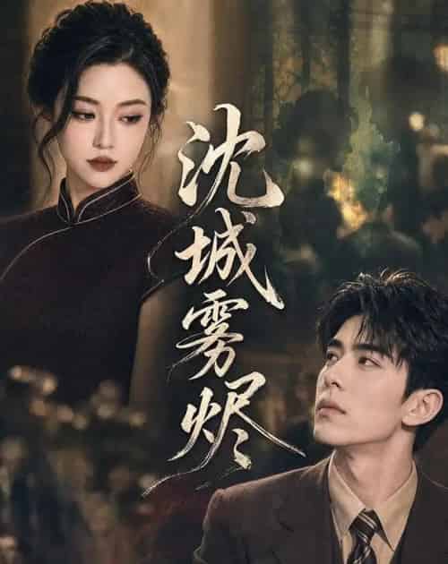 沈城雾烬（71集全）AI-紫橙网创项目网