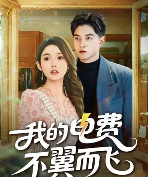 我的电费不翼而飞(60集全)贺龙天&杨莯-紫橙网创项目网