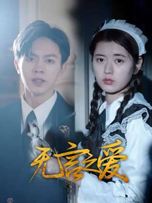 无言之爱（40集全）李晓 - 紫橙阁短剧