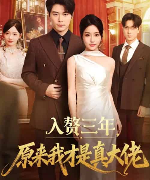 入赘三年，原来我才是真大佬（75集全）刘帅＆瑞子-紫橙网创项目网