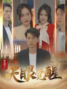赘婿之天眼觉醒（100集） - 紫橙阁短剧