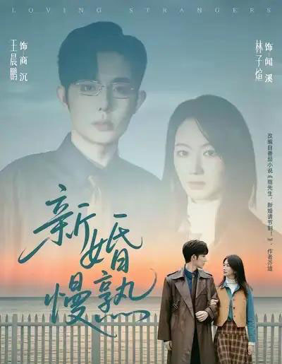 新婚慢熟(105集全)王晨鹏&林子煊-紫橙网创项目网