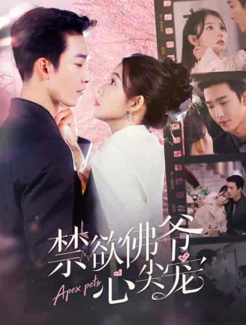 禁欲佛爷心尖宠（101集全）姚冠宇＆林籽蓉 - 紫橙阁短剧