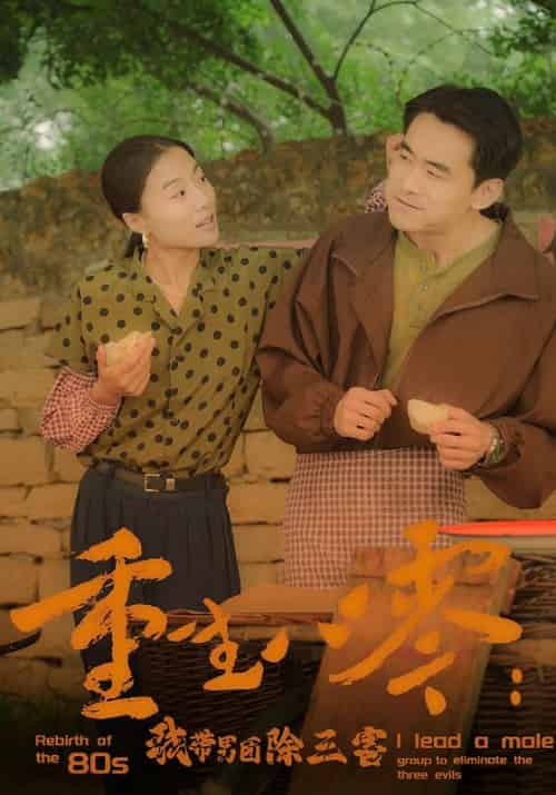 重生八零：我带男团除三害（96集） - 紫橙阁短剧