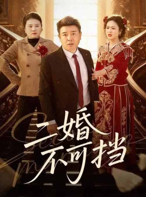 二婚不可挡（36集全）任志宏＆杨一 - 紫橙阁短剧