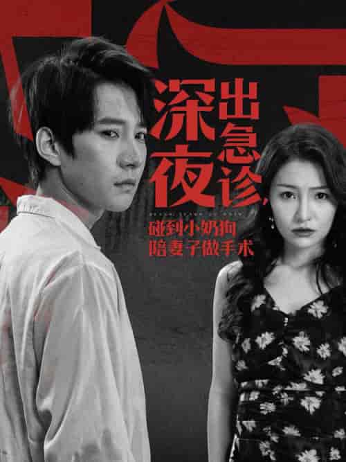 深夜出急诊碰到小奶狗陪妻子做手术 深夜出急诊碰到小奶狗陪妻子做手术