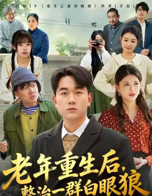 老年重生后，整治一群白眼狼（82集全）高赞翔＆胡蝶-紫橙网创项目网