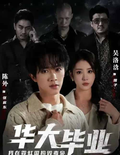 华大毕业,我在霓虹国捣毁毒枭(68集全)陈外&吴洛浛-紫橙网创项目网