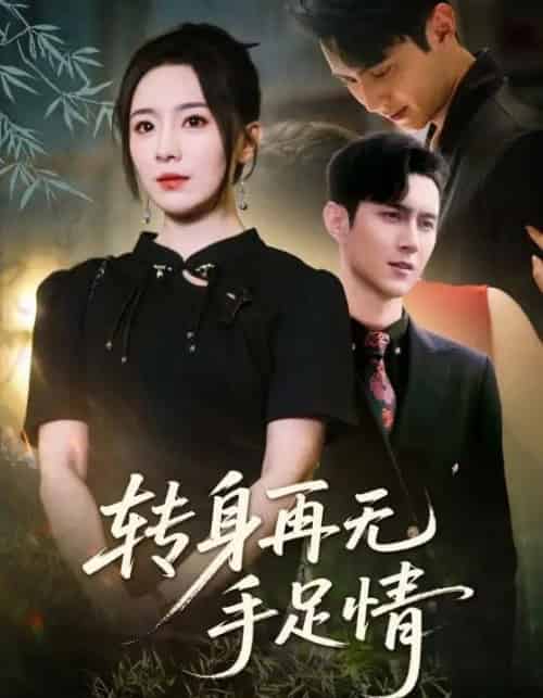 转身再无手足情（71集）希尔力＆周弋茜 - 紫橙阁短剧