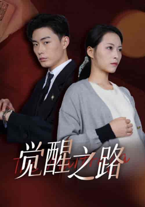 觉醒之路（33集全）颜良＆谭花 - 紫橙阁短剧