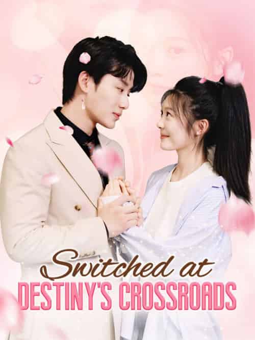 Switched at Destiny's Crossroads Switched at Destiny's Crossroads
