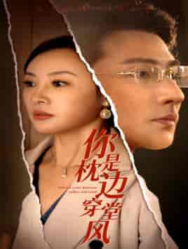 你是枕边穿堂风（78集） - 紫橙阁短剧