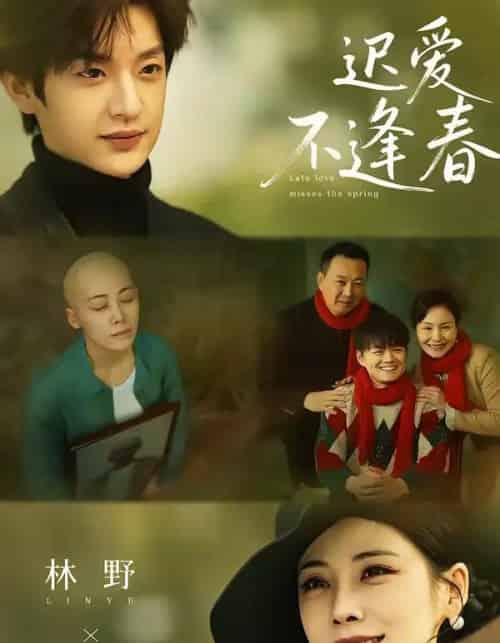 迟爱不逢春（62集全）魏澊＆钟小淇-紫橙网创项目网