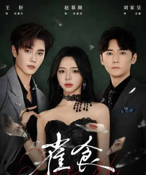 雀食（83集全）王轩＆赵慕颜＆刘家呈 - 紫橙阁短剧