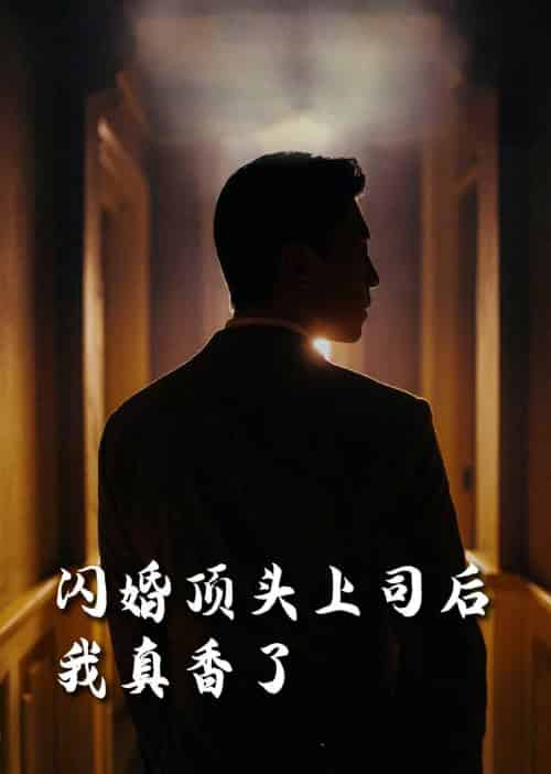 闪婚顶头上司后我真香了（80集全）潘悦铭＆刘星辰＆攒攒＆袁颖 - 紫橙阁短剧