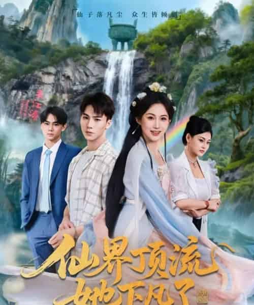 仙界顶流她下凡了(60集全)申晴&向阳-紫橙网创项目网