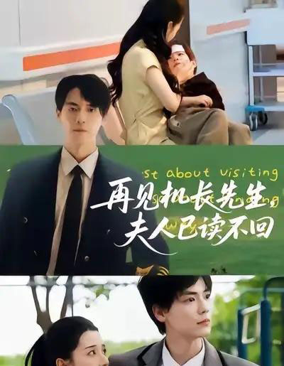 再见机长先生夫人已读不回 再见机长先生夫人已读不回