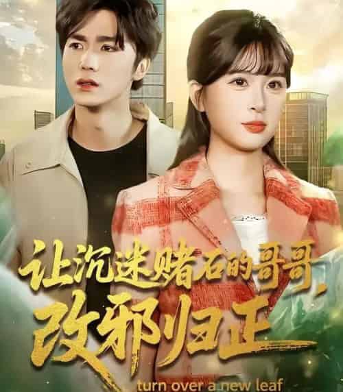 让沉迷赌石的哥哥，改邪归正（50集全）陈哲＆李慕瑶-紫橙网创项目网