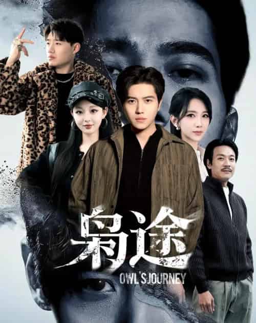 枭途＆龙抬头1：莫欺少年穷（100集全）姜腾＆高明君-紫橙网创项目网