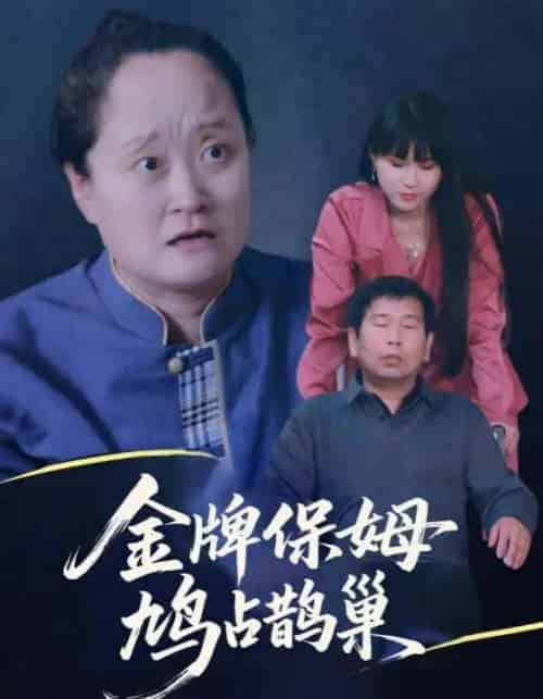 寄生虫保姆＆金牌保姆鸠占鹊巢（64集全）刘广平＆仇艳勤 - 紫橙阁短剧