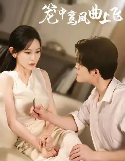 笼中鸾凤曲上飞（40集全）刘彦凯＆王艺鑫-紫橙网创项目网